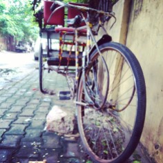 the ubiquitous cycle-rickshaw